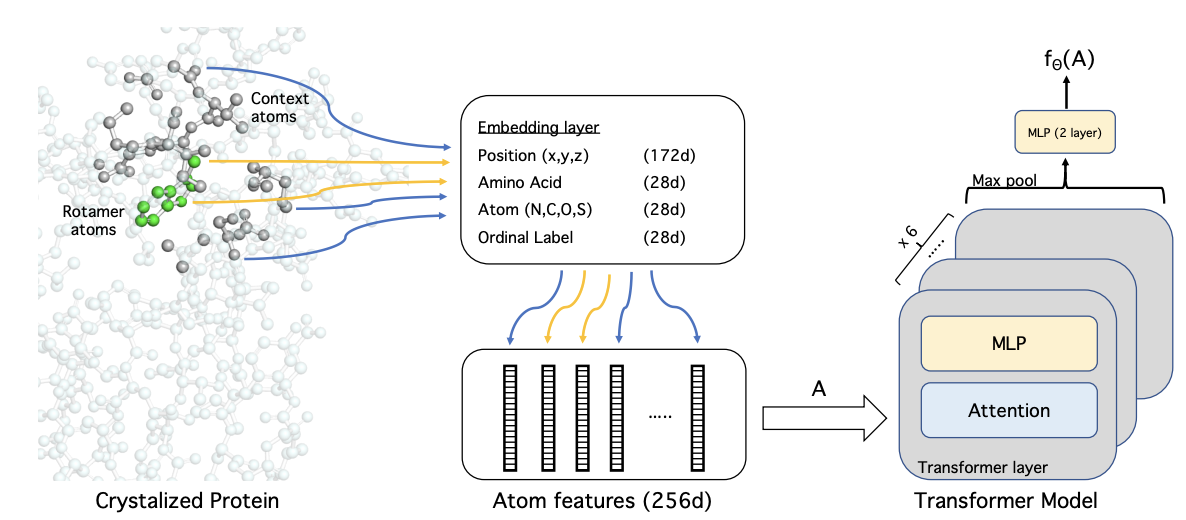 Atomic-level protein conformation energy model