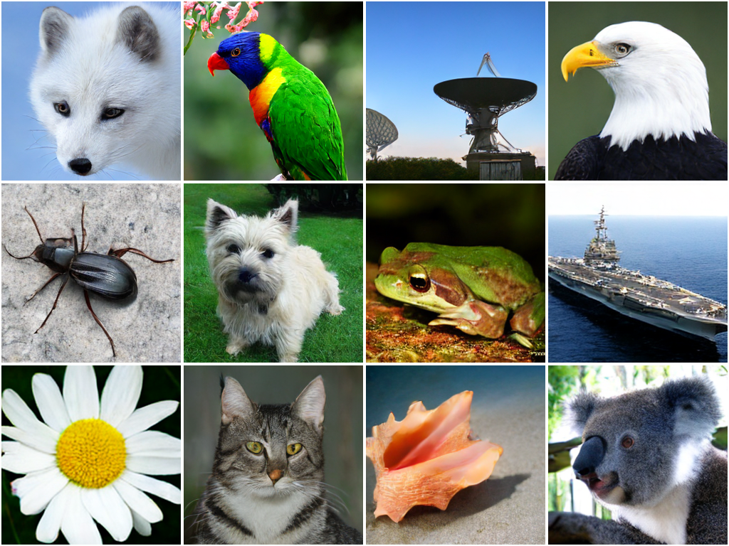 TEM generated ImageNet samples: FID-50K 3.82 at 256×256 and 8.24 at 512×512, without classifier-free guidance